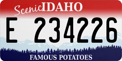 ID license plate E234226