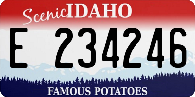 ID license plate E234246