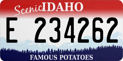 ID license plate E234262