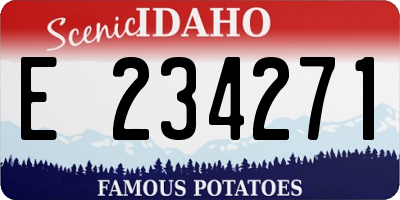 ID license plate E234271