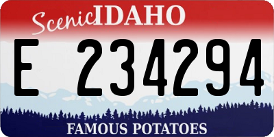 ID license plate E234294
