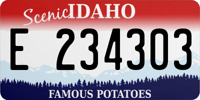 ID license plate E234303