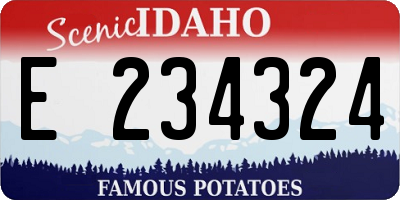 ID license plate E234324