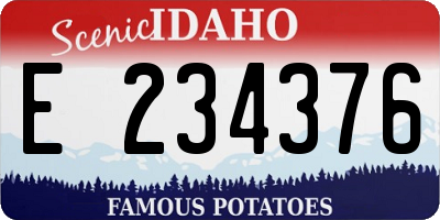 ID license plate E234376