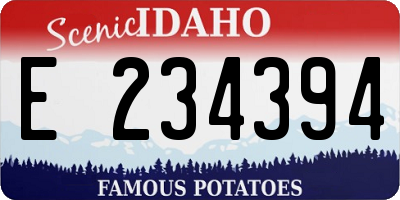 ID license plate E234394