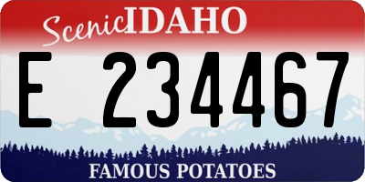 ID license plate E234467