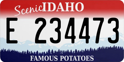 ID license plate E234473