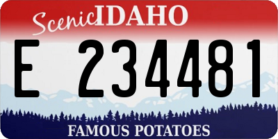 ID license plate E234481