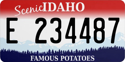 ID license plate E234487