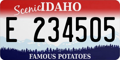 ID license plate E234505