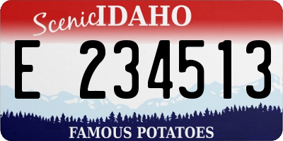 ID license plate E234513