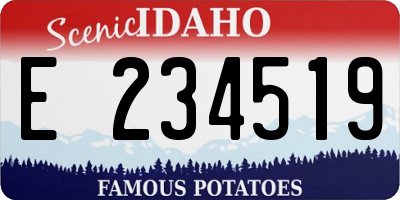 ID license plate E234519