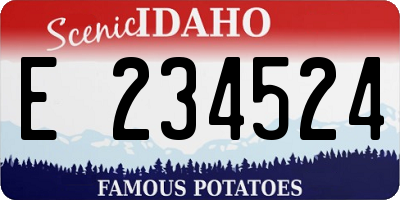 ID license plate E234524