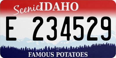 ID license plate E234529