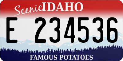 ID license plate E234536