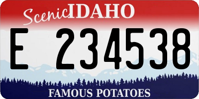 ID license plate E234538