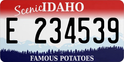 ID license plate E234539