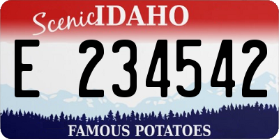ID license plate E234542