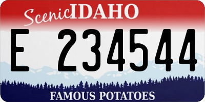 ID license plate E234544