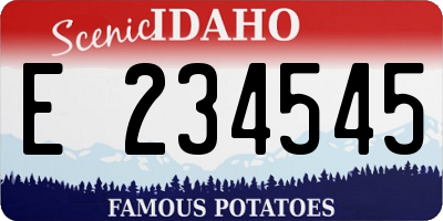 ID license plate E234545