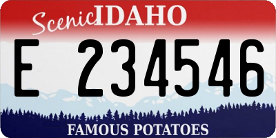 ID license plate E234546