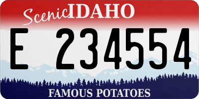 ID license plate E234554