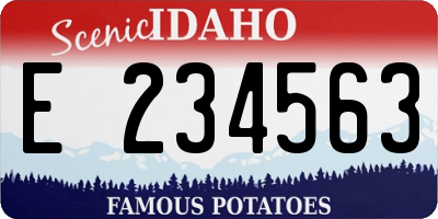 ID license plate E234563