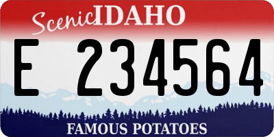 ID license plate E234564