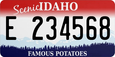 ID license plate E234568