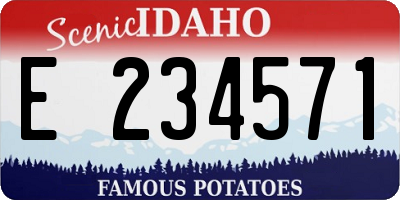 ID license plate E234571