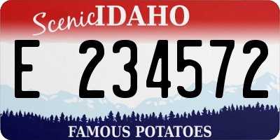 ID license plate E234572