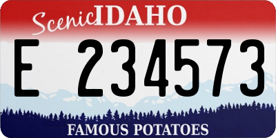 ID license plate E234573