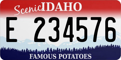 ID license plate E234576