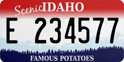 ID license plate E234577