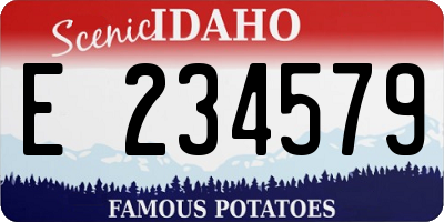 ID license plate E234579