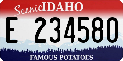 ID license plate E234580
