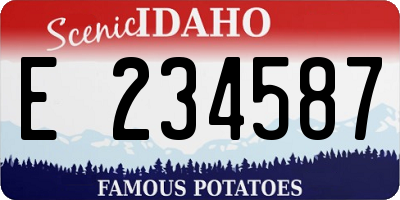 ID license plate E234587
