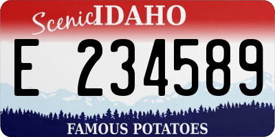 ID license plate E234589
