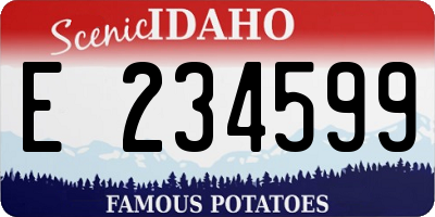ID license plate E234599