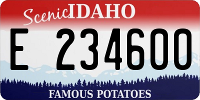ID license plate E234600