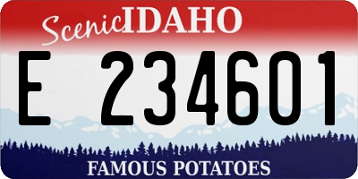 ID license plate E234601