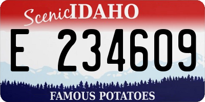 ID license plate E234609