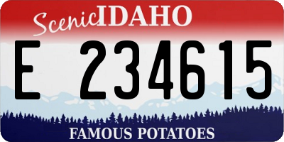 ID license plate E234615