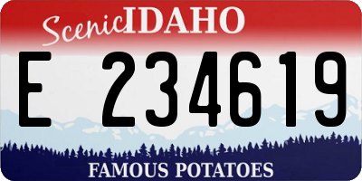 ID license plate E234619