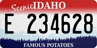 ID license plate E234628
