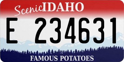 ID license plate E234631