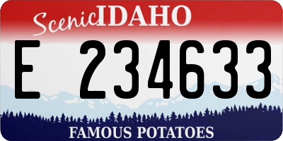 ID license plate E234633