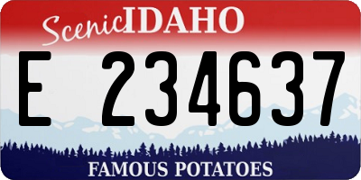 ID license plate E234637