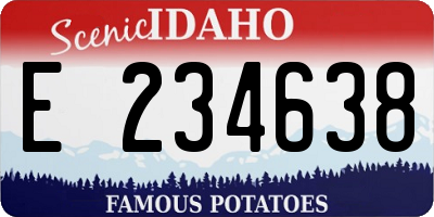 ID license plate E234638