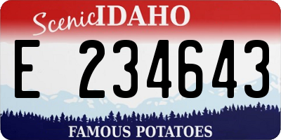 ID license plate E234643